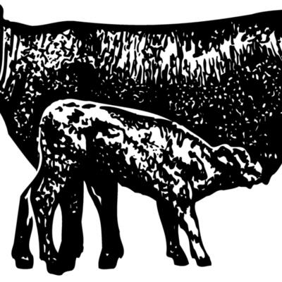 COW029 Thumbnail