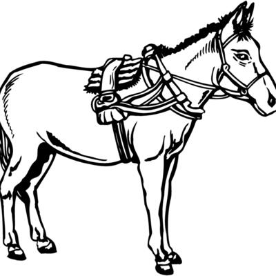 BURRO007 Thumbnail