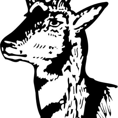 DEER013 Thumbnail