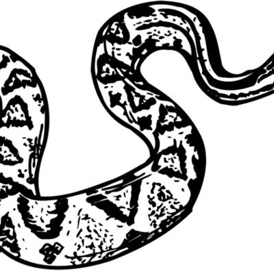 SNAKE011 Thumbnail