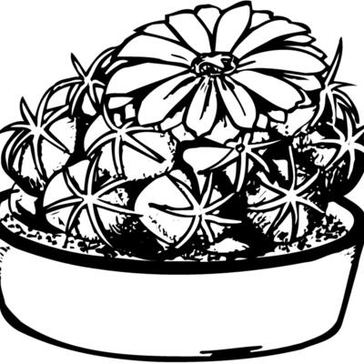 CACTUS02 Thumbnail