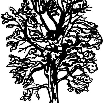 TREE0018 Thumbnail