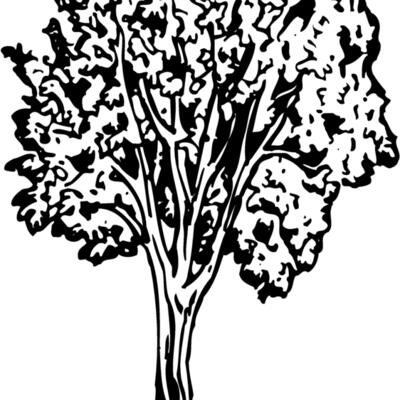 TREE0024 Thumbnail