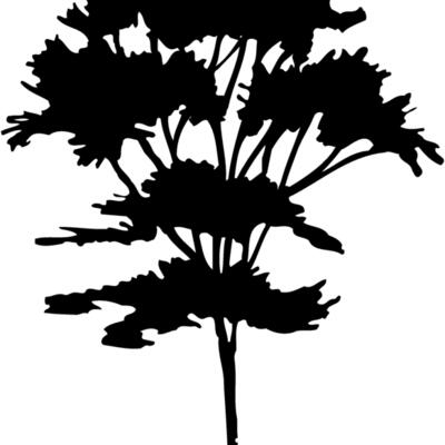 TREE0025 Thumbnail